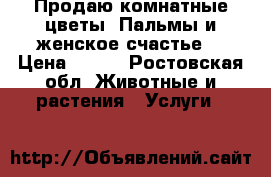 Продаю комнатные цветы. Пальмы и женское счастье  › Цена ­ 350 - Ростовская обл. Животные и растения » Услуги   